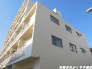 �ۃm������x�����쒬�w MS1 DK