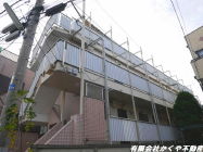 �ۃm������x�����쒬�w MS1 DK